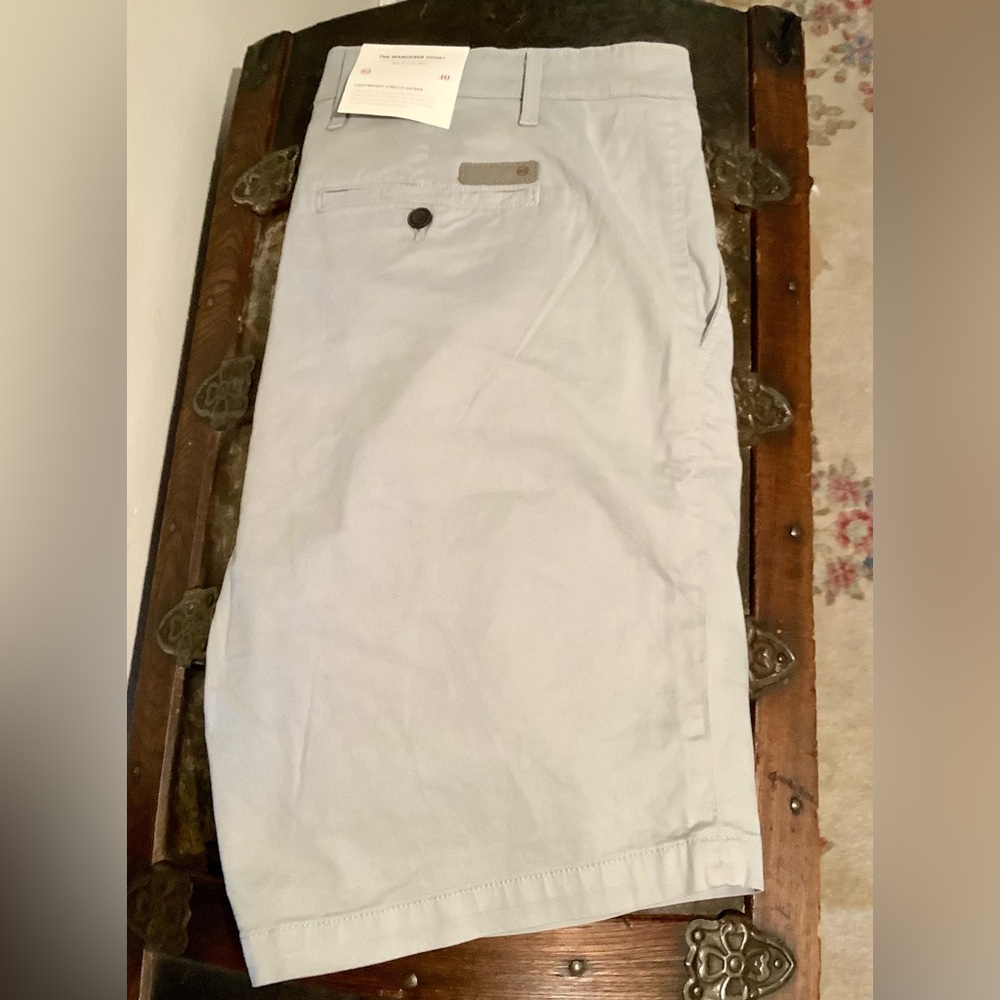 Ag Adriano Goldschmied Gray Wanderer Shorts NWT Sz 40